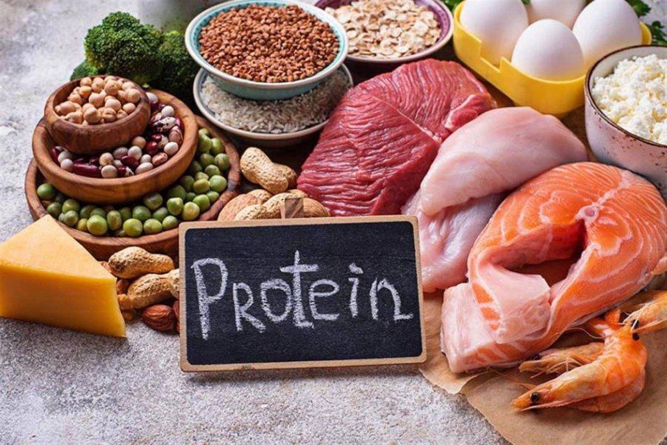 مواد غذایی پروتئینی، از بهترین غذا برای کاهش وزن